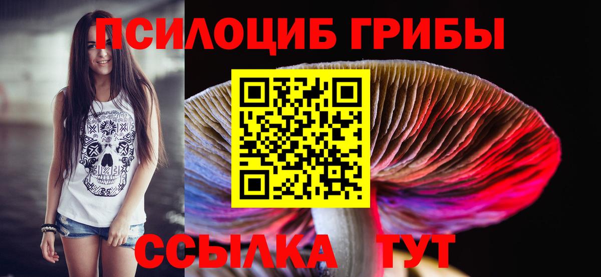 Каменск-Уральский  даркнет сайт  Вход с VPN  Галлюциногенные грибы GOLDEN TEACHER 